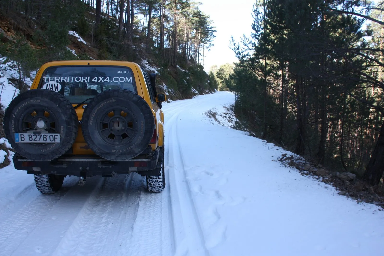 Invernal 2015 1