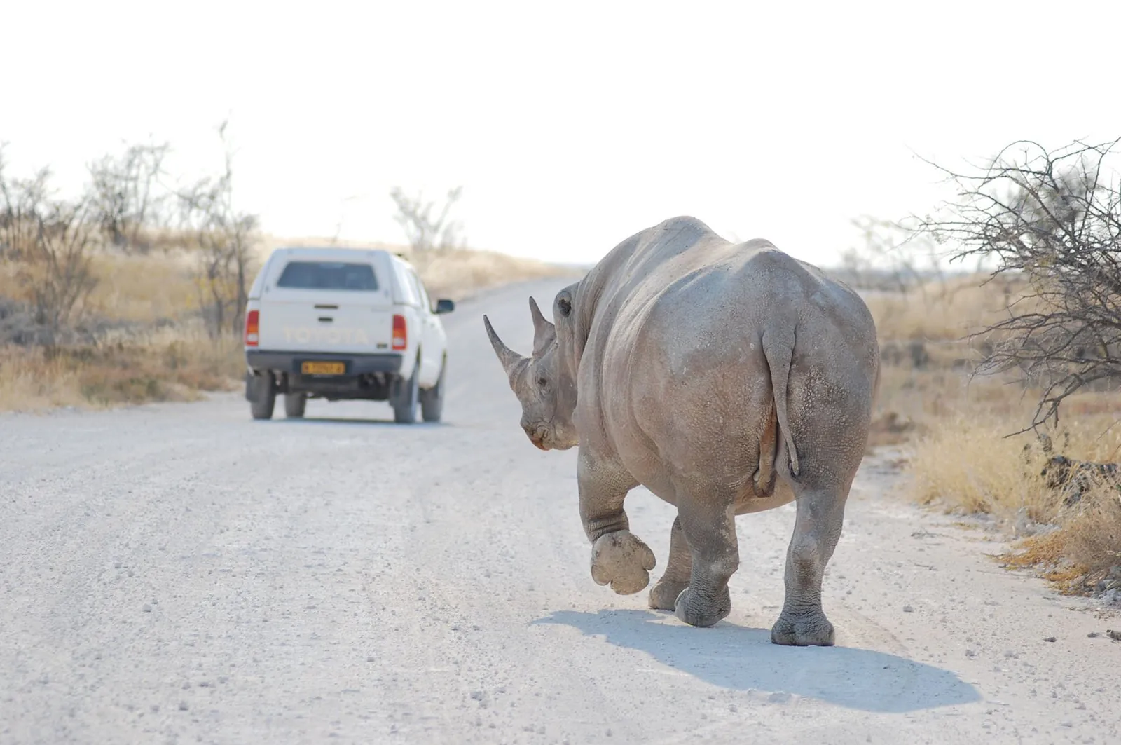 viaje 4x4 namibia-botswana