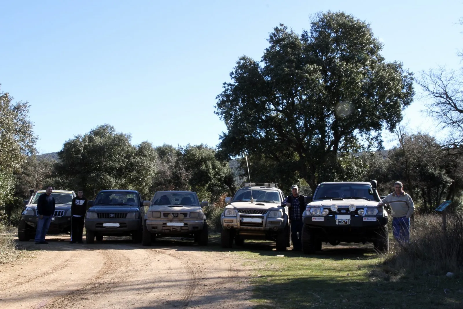 POsecoches