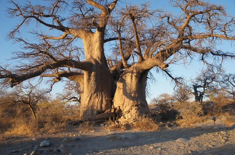 viaje4x4namibiaC10