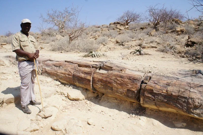 viaje4x4namibiaC31