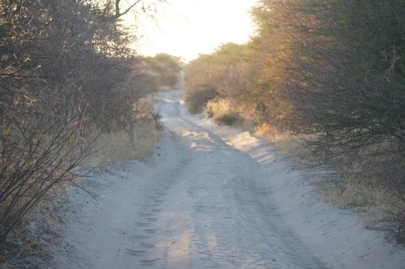 viaje4x4namibiaC6